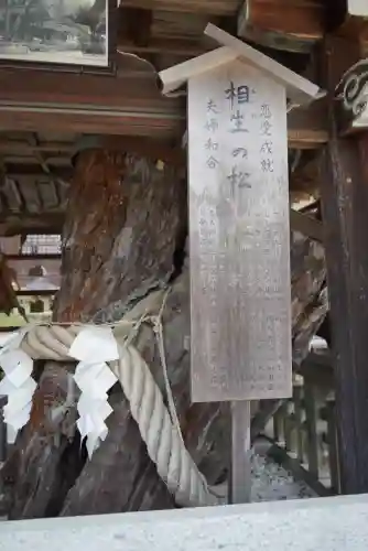 松尾大社(京都府)