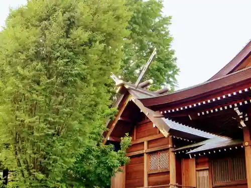 朝日氷川神社の本殿