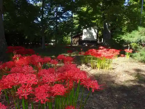墨坂神社の自然