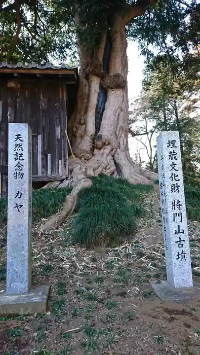神田山延命院の自然