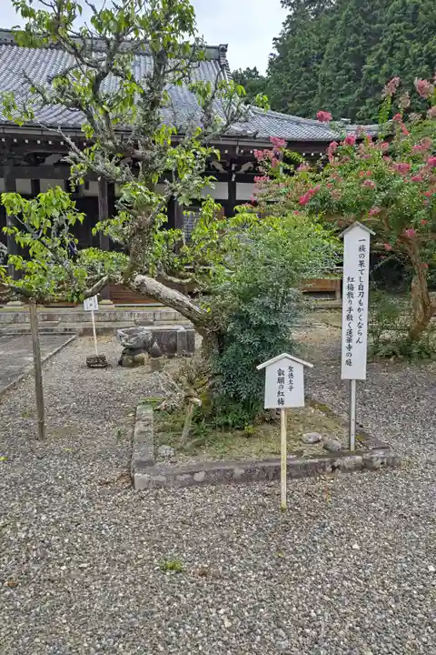 蓮華寺(滋賀県)