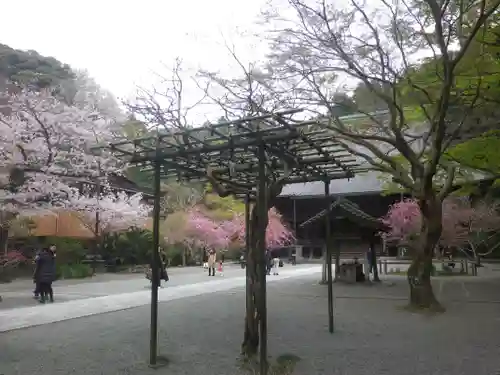 妙本寺の庭園