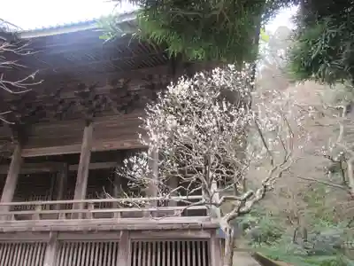 妙本寺のその他建物