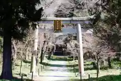 井伊神社の鳥居