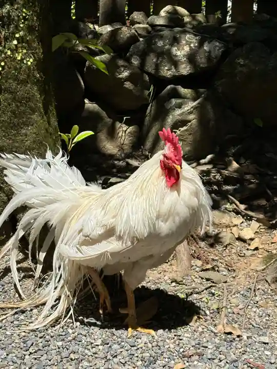 伊勢神宮内宮(皇大神宮)(三重県)