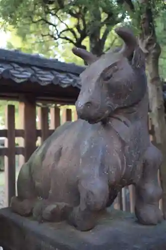 牛嶋神社の狛犬