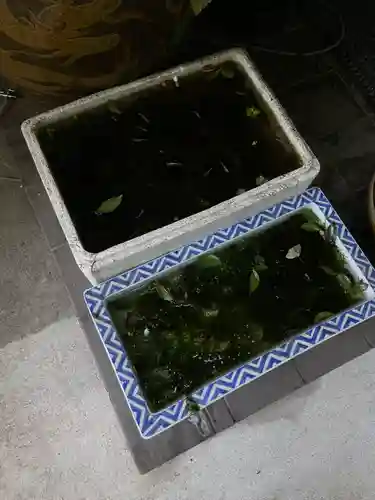 銀杏岡八幡神社の動物