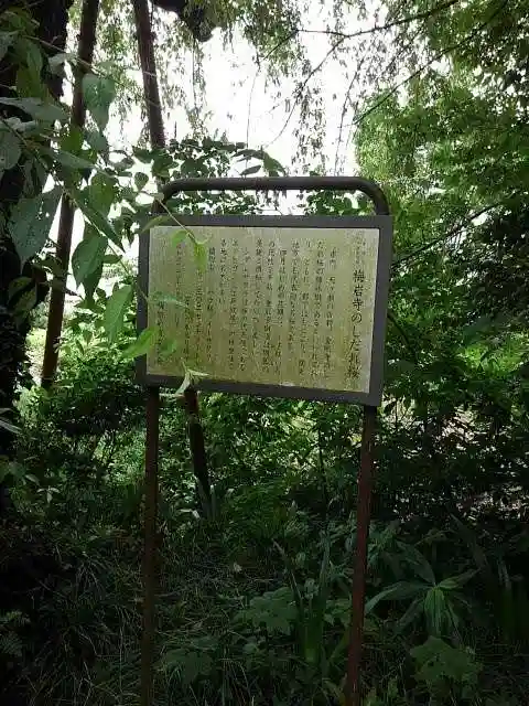 梅岩寺の歴史