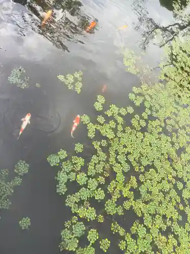 涼ケ岡八幡神社(福島県)
