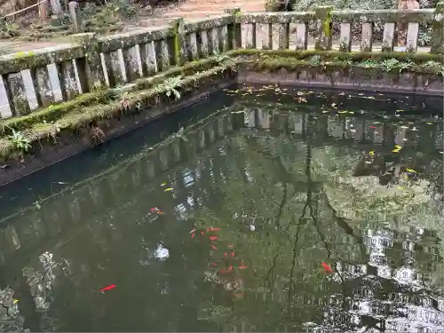 室生寺(奈良県)