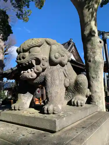 三島八幡神社の狛犬