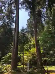 粟鹿神社の自然