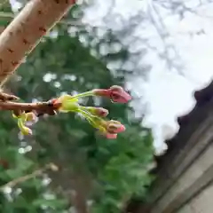 滑川神社 - 仕事と子どもの守り神の自然