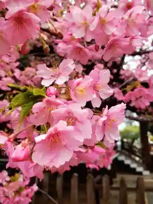 新宿下落合氷川神社(東京都)