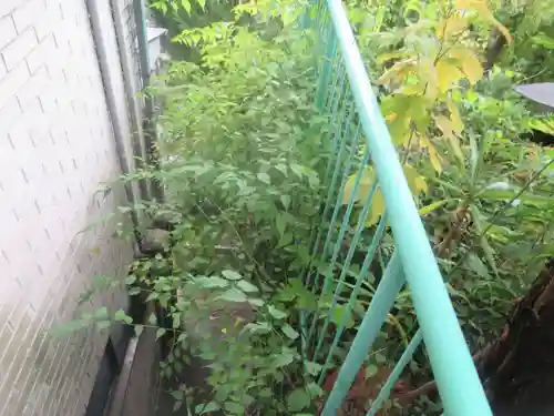 市谷亀岡八幡宮(東京都)