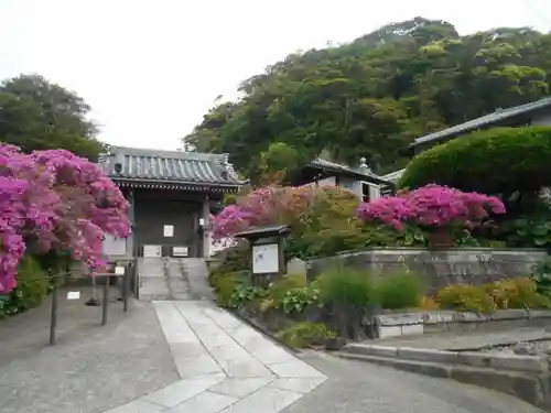 安養院　(田代寺）の山門