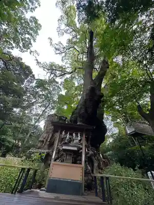 來宮神社(静岡県)