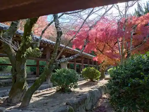 吉備津神社(岡山県)