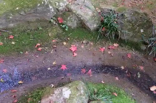 勝持寺（花の寺）(京都府)