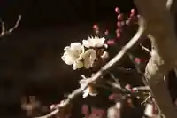 秩父札所十三番 慈眼寺の自然