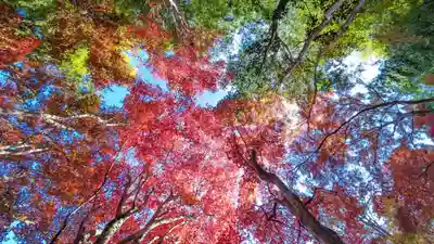 教林坊(滋賀県)