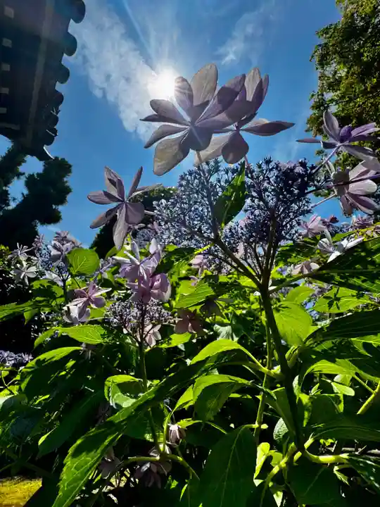 天球院(京都府)