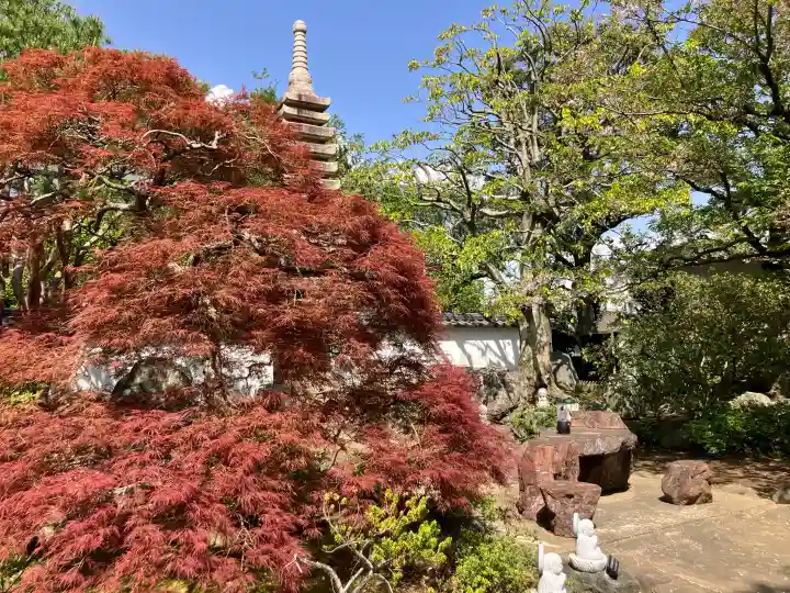 無量寺の{uncategorized: "未分類", other: "その他", undefined: "問題あり", building: "その他建物", grave: "お墓", sacred_gate: "鳥居", guardian: "狛犬", statue: "像", buddha: "仏像", history: "歴史", nature: "自然", garden: "庭園", animal: "動物", pagoda: "塔", temizu: "手水舎", mountain_gate: "山門・神門", sanctuary: "本殿・本堂", subordinate: "末社・摂社", art: "芸術", scenery: "景色", jizo: "地蔵", ema: "絵馬", goshuin: "御朱印", omikuji: "おみくじ", items: "授与品その他", amulet: "お守り", goshuincho: "御朱印帳", eats: "食事", festival: "お祭り", votive_dance: "神楽", shichigosan: "七五三参", wedding: "結婚式", experience: "体験その他", initially: "初詣", around: "周辺", anti_infection: "感染症対策"}