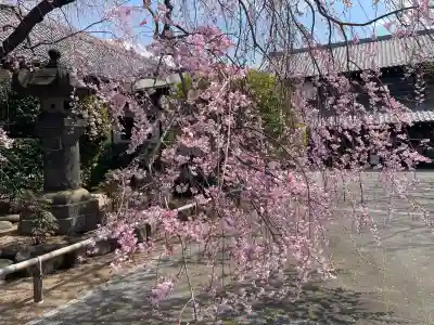 吉祥寺(東京都)
