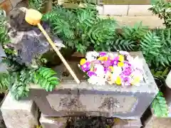 本郷氷川神社(東京都)