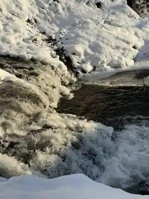 高宮神社の{uncategorized: "未分類", other: "その他", undefined: "問題あり", building: "その他建物", grave: "お墓", sacred_gate: "鳥居", guardian: "狛犬", statue: "像", buddha: "仏像", history: "歴史", nature: "自然", garden: "庭園", animal: "動物", pagoda: "塔", temizu: "手水舎", mountain_gate: "山門・神門", sanctuary: "本殿・本堂", subordinate: "末社・摂社", art: "芸術", scenery: "景色", jizo: "地蔵", ema: "絵馬", goshuin: "御朱印", omikuji: "おみくじ", items: "授与品その他", amulet: "お守り", goshuincho: "御朱印帳", eats: "食事", festival: "お祭り", votive_dance: "神楽", shichigosan: "七五三参", wedding: "結婚式", experience: "体験その他", initially: "初詣", around: "周辺", anti_infection: "感染症対策"}