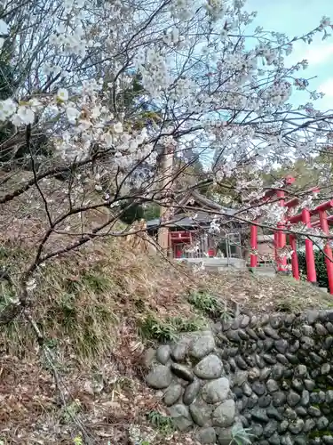 白狐山光星寺(山形県)