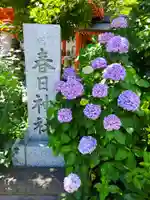 相州春日神社の自然