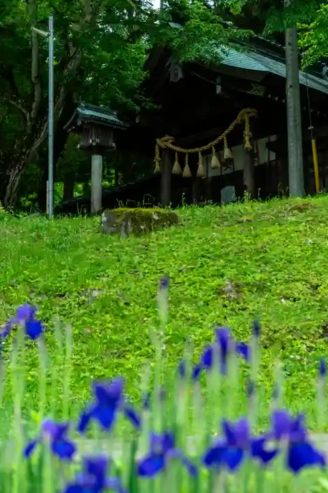 諏訪大社上社前宮(長野県)