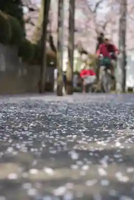 密藏院(埼玉県)
