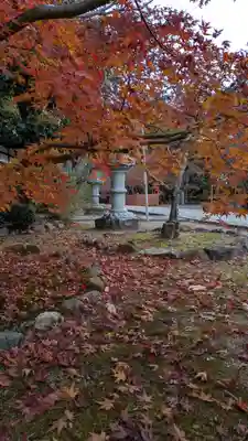 光明寺（粟生光明寺）(京都府)