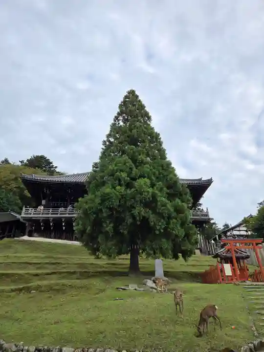 東大寺 二月堂(奈良県)