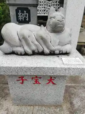 新倉氷川八幡神社の狛犬