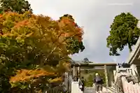 大山阿夫利神社のその他建物