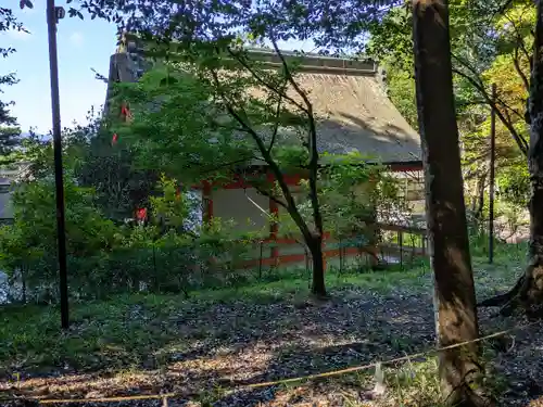 出雲大神宮(京都府)