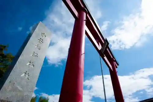 白笹稲荷神社の鳥居