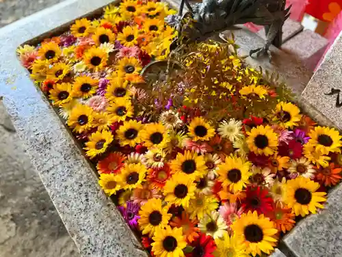 札幌諏訪神社の手水