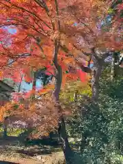 吸湖山　青岸寺の自然