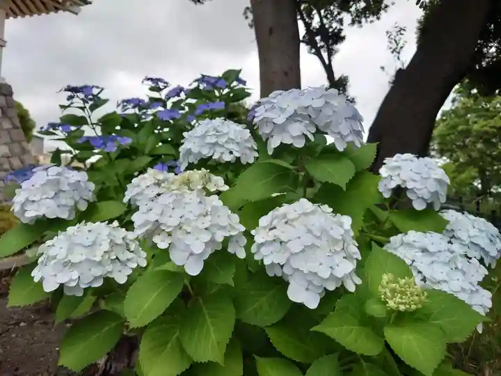 神明社(千葉県)