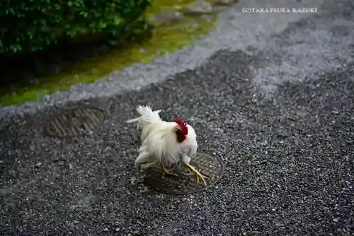伊勢神宮内宮（皇大神宮）(三重県)
