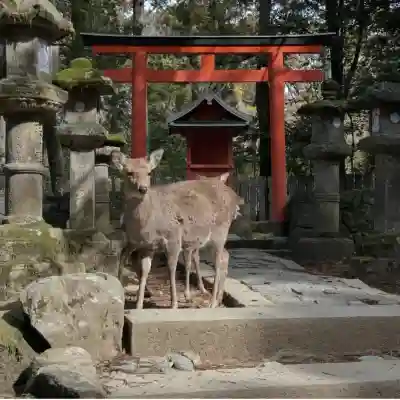 春日大社の{uncategorized: "未分類", other: "その他", undefined: "問題あり", building: "その他建物", grave: "お墓", sacred_gate: "鳥居", guardian: "狛犬", statue: "像", buddha: "仏像", history: "歴史", nature: "自然", garden: "庭園", animal: "動物", pagoda: "塔", temizu: "手水舎", mountain_gate: "山門・神門", sanctuary: "本殿・本堂", subordinate: "末社・摂社", art: "芸術", scenery: "景色", jizo: "地蔵", ema: "絵馬", goshuin: "御朱印", omikuji: "おみくじ", items: "授与品その他", amulet: "お守り", goshuincho: "御朱印帳", eats: "食事", festival: "お祭り", votive_dance: "神楽", shichigosan: "七五三参", wedding: "結婚式", experience: "体験その他", initially: "初詣", around: "周辺", anti_infection: "感染症対策"}