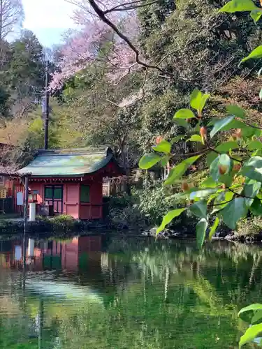 富士山本宮浅間大社の庭園