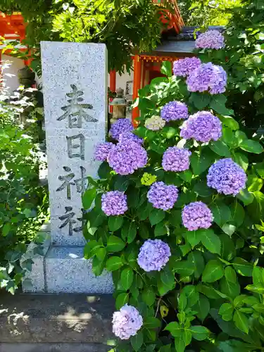 相州春日神社の自然