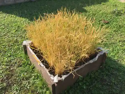 砂川神社(北海道)