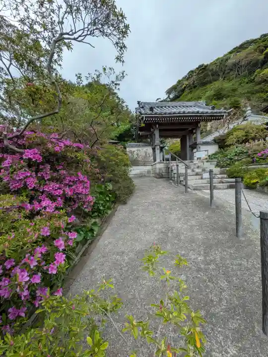 安養院 (田代寺)(神奈川県)