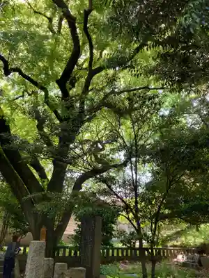 湯島聖堂(東京都)